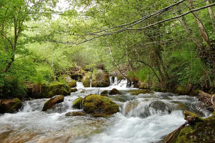 Mata air Vevcani menjadi bagian terpenting dari budaya dan sejarah masyarakat setempat.