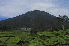 Erupsi Gunung Dempo di Pagar Alam, Ini Imbauan untuk Warga dan Pendaki