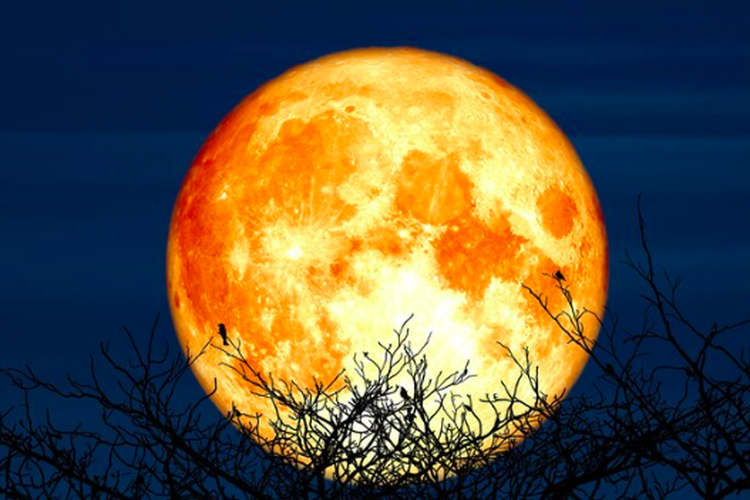 Fenomena Bulan Purnama Super atau Supermoon terakhir tahun 2023 ini akan terjadi pada 29 September 2023, ini jadwalnya.