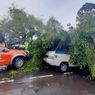Siklon Tropis Tumbangkan Pohon Beringin Tua Alun-alun Kota Serang