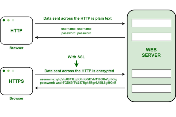 HTTP dan HTTPS
