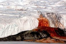 Terungkap, Cara Air Terjun Darah di Antartika Keluar dari Penjaranya