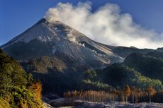 Gunung Merapi Kembali Keluarkan Awan Panas Guguran, Estimasi Jarak Luncur 1.500 Meter