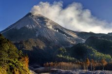 Sepekan, Gunung Merapi Keluarkan Guguran Lava Sebanyak 281 Kali