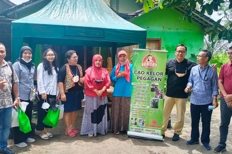 Berkat KUR BRI, Pengusaha Wanita Ini Sukses Kembangkan Bisnis Olahan Pangan dari Daun Kelor