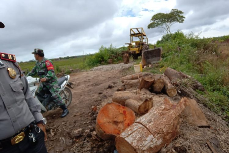 Lokasi penebangan liar di Dwsa Hariara Pintu, Kecamatan Harian, Kabupaten Samosir, Kamis (10/1/2019).