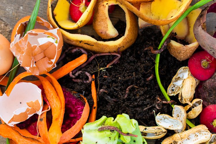Membuat kompos atau pupuk organik bisa menggunakan sampah makanan di dapur.