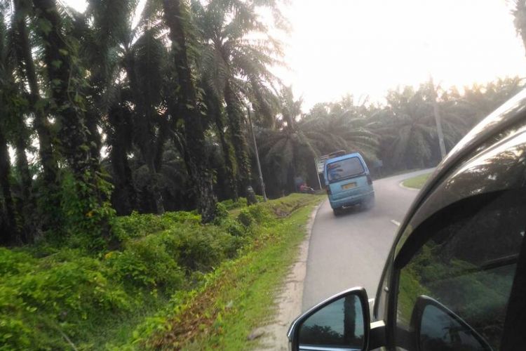 Kondisi Jalan Lintas Timur Sumatera menuju ke arah Pekanbaru, Riau.