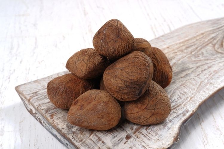 Kluwek atau Pangium edule