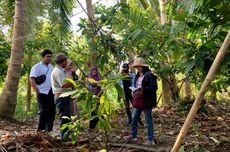 Pentingnya Suntikan Semangat bagi Kelompok Tani Hutan Rakyat Bulukumba