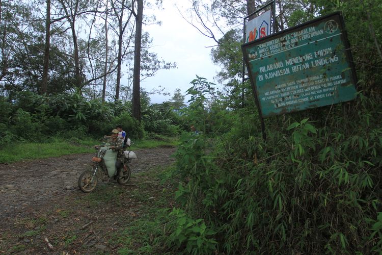Salah satu hutan lindung Semidang Alas, Kecamatan Dempo Tengah, Kota Pagaralam, Sumatera Selatan. Dalam kawasan hutan lindung ini, merupakan habitat harimau sumatera.