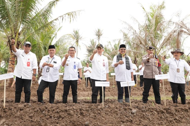 Penjabat (Pj) Bupati Tangerang Andi Ony saat melakukan penanaman bibit cabai di lahan sekitar 6.000 meter di Desa Kohod, Kecamatan Pakuhaji, Rabu (31/1/2024). 
