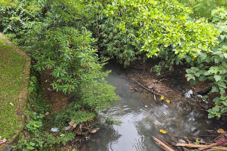 Alirannya Diduga Jadi Mal Bintaro Xchange, Kondisi Kali Ciputat Menghitam dan Tak Mengalir