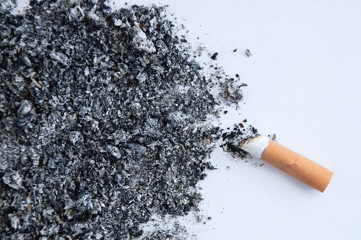 Ilustrasi abu rokok. Dalam rokok terdapat kandungan utama, yaitu nikotin dan tar. Nikotin adalah bahan kimia adiktif dalam rokok, tetapi tar yang bertanggung jawab atas risiko kesehatan terbesar, termasuk banyak jenis kanker pada tubuh perokok.