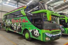 Perbedaan Bodi Jetbus dengan Mesin Depan dan Belakang