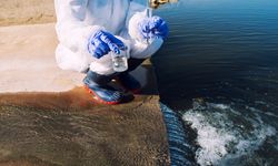 Air Cucian Pabrik Daur Ulang Plastik Berpotensi Tercemar