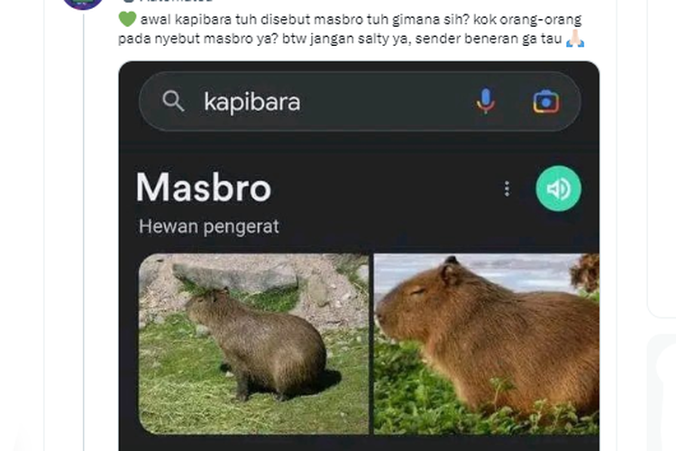 Tangkapan layar twit soal hewan kapibara dijuluki Masbro