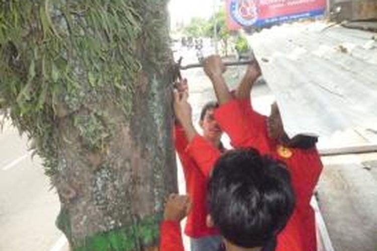 Ratusan relawan PMI Kabupaten Semarang menggelar aksi cabut paku dipohon dalam rangka  

peringatan 151 tahun gerakan Palang Merah dan Bulan Sabit Sedunia , Senin (12/5/2014)