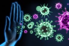Sistem Imun Manusia: Pengertian, Komponen, dan Mekanismenya