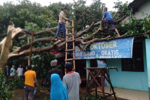 Antisipasi Pohon Tumbang akibat Cuaca Buruk, Pemkot Depok Siagakan 10 Satgas dan 2 Dump Truck 