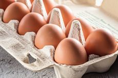 5 Tips Sukses Jadi Agen Telur dengan Modal Rp 500.000 
