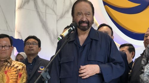 Soal Ahmad Ali Bertemu Prabowo, Surya Paloh: Bisa Saja Masalah Pilkada