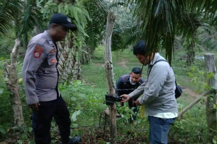 Badan Konservasi Sumber Daya Alam (BKSDA) Resort Langsa, PRovinsi Aceh, memasang kamera trap (kamera pengawas) di sekitar pemukiman penduduk di Desa Panton Rayeuk T, Kecamtaan Banda Alam, Kabupaten Aceh Timur, Jumat (20/10/2023)