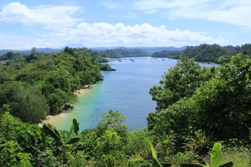 Lumba-lumba Muncul di Pantai Tiga Warna Malang, Dianggap Kejadian Langka