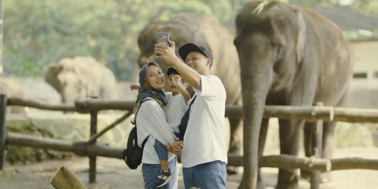 X Video Girl Zoo Elephant - Viral Video Pernikahan di Gembira Loka Zoo, Ini Penjelasan Manajemen
