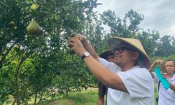 Dongkrak Pendapatan Daerah Batang, Bupati Faiz Usulkan Agroeduwisata Clapar Jadi BUMD