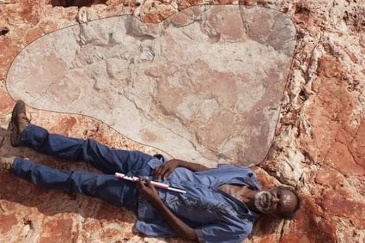 Seorang pria berbaring di samping sebuah jejak dinosaurus yang ditemukan di sebuah kawasan terpencil di Australia Barat.