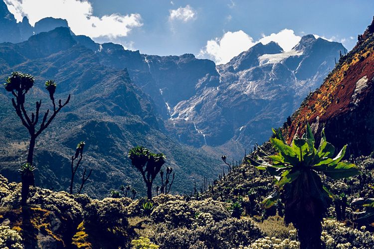 Pergunungan Rwenzori di Benua Afrika dengan puncaknya yang bersalju.