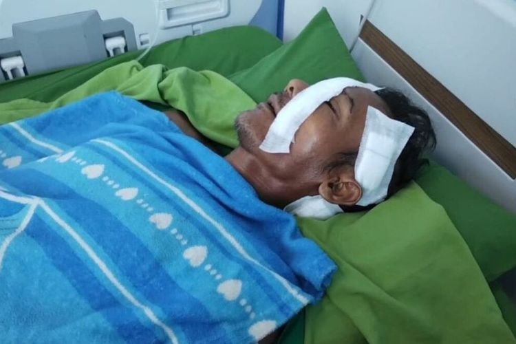 Petani di Musi Rawas Diserang Beruang, BKSDA Sumsel Pertimbangkan Evakuasi Satwa