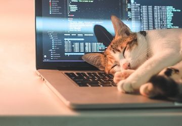 3 Alasan Kucing Suka Duduk di Atas Keyboard dan Cara Mencegahnya