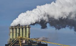 Sektor Perbankan Dinilai Lalai Tangani Polusi Metana