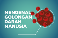 INFOGRAFIK: Mengenal Golongan Darah Manusia