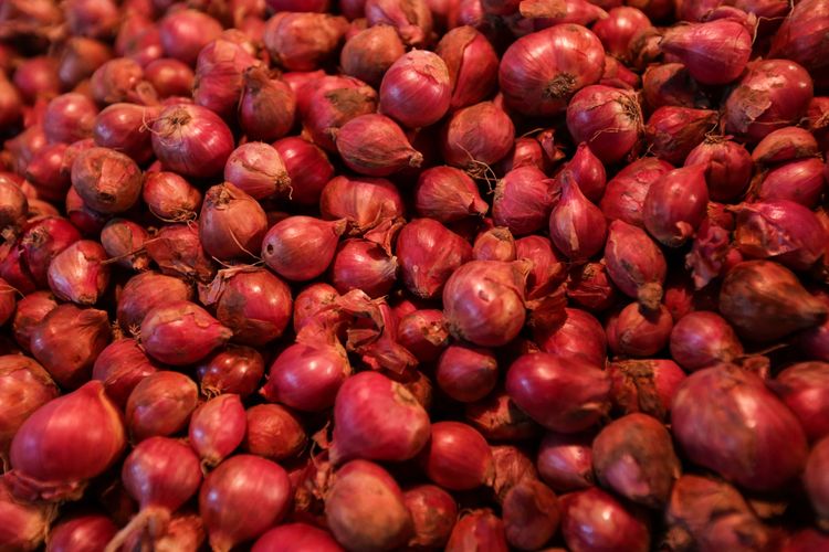 Foto stok: Bawang merah.