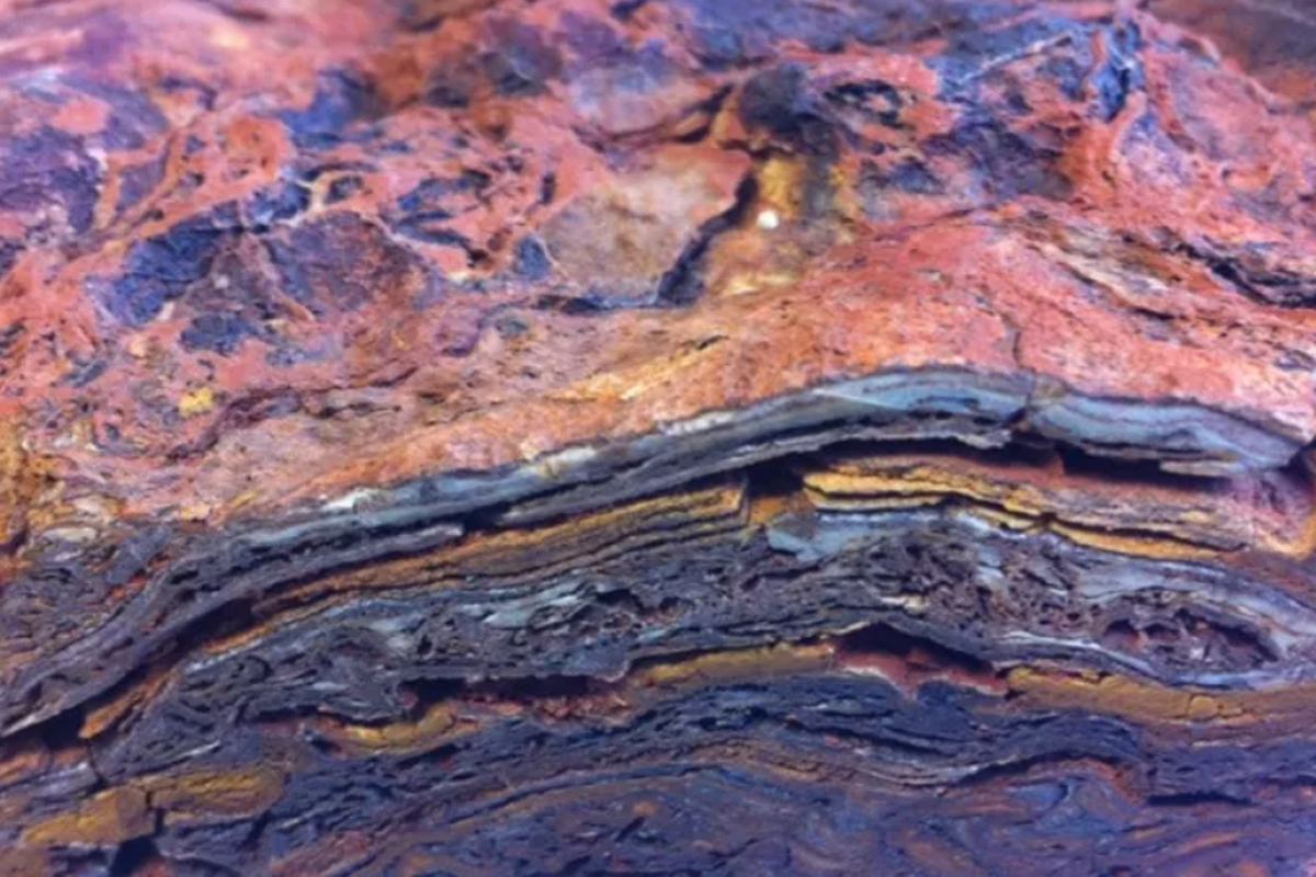 Struktur batuan berlapis terbentuk dari fosil mikroba fotosintesis yang disebut stromatolit



