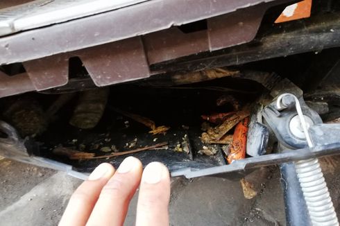 Dek Bawah Skutik Berpotensi Jadi Sarang Tikus, Ini Cara Mencegahnya