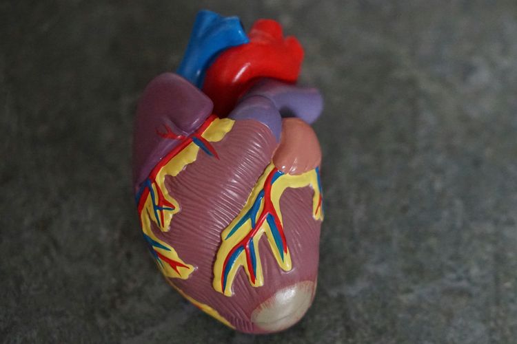 Biaya Pasang Alat Bantu Jantung Rp 2 Miliar, Bisakah Pakai BPJS?