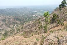 Api Muncul Lagi di Bukit Menoreh, Warga Saksikan Banyak Satwa Hutan Berlarian