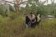 Rombongan Mahasiswi Diserang Tawon di Pekanbaru, 2 Orang Pingsan dan Dievakuasi Polisi