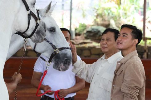 Kala Gibran Disarankan Maju Gubernur oleh Prabowo...