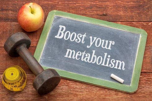 Pengertian Metabolisme dan Fungsinya bagi Tubuh Manusia