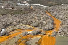 Sungai Alaska Berubah Warna Menjadi Oranye, Apa Penyebabnya?
