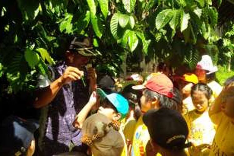 Para siswa kelas III SD Kristen Tri Tunggal Semarang menyimak penjelasan pemandu yang menerangkan seluk beluk tanan kopi di Keboen Kopi Banaran, Bawen, Kabupaten Semarang, Kamis (29/9/2016) siang.