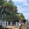 Pulau di Pantai Kukup Gunungkidul Buka Lagi untuk Umum, Spot Foto Favorit