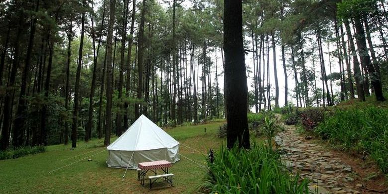 Glamourous Camping atau Glamping di Taman Wisata Alam Gunung Pancar, Bogor. 