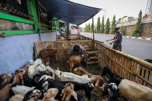 Dishub Kota Bekasi Imbau Penjual Hewan Kurban Tak Berdagang di Trotoar
