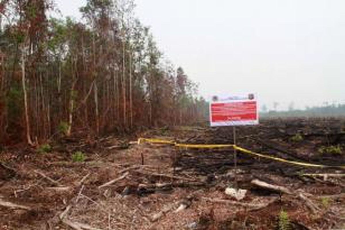 Lahan gambut yang ditanami sawit usai dibakar disegel oleh Kepolisian dan Kementerian Kehutanan dan Lingkungan Hidup (2810/2015). 